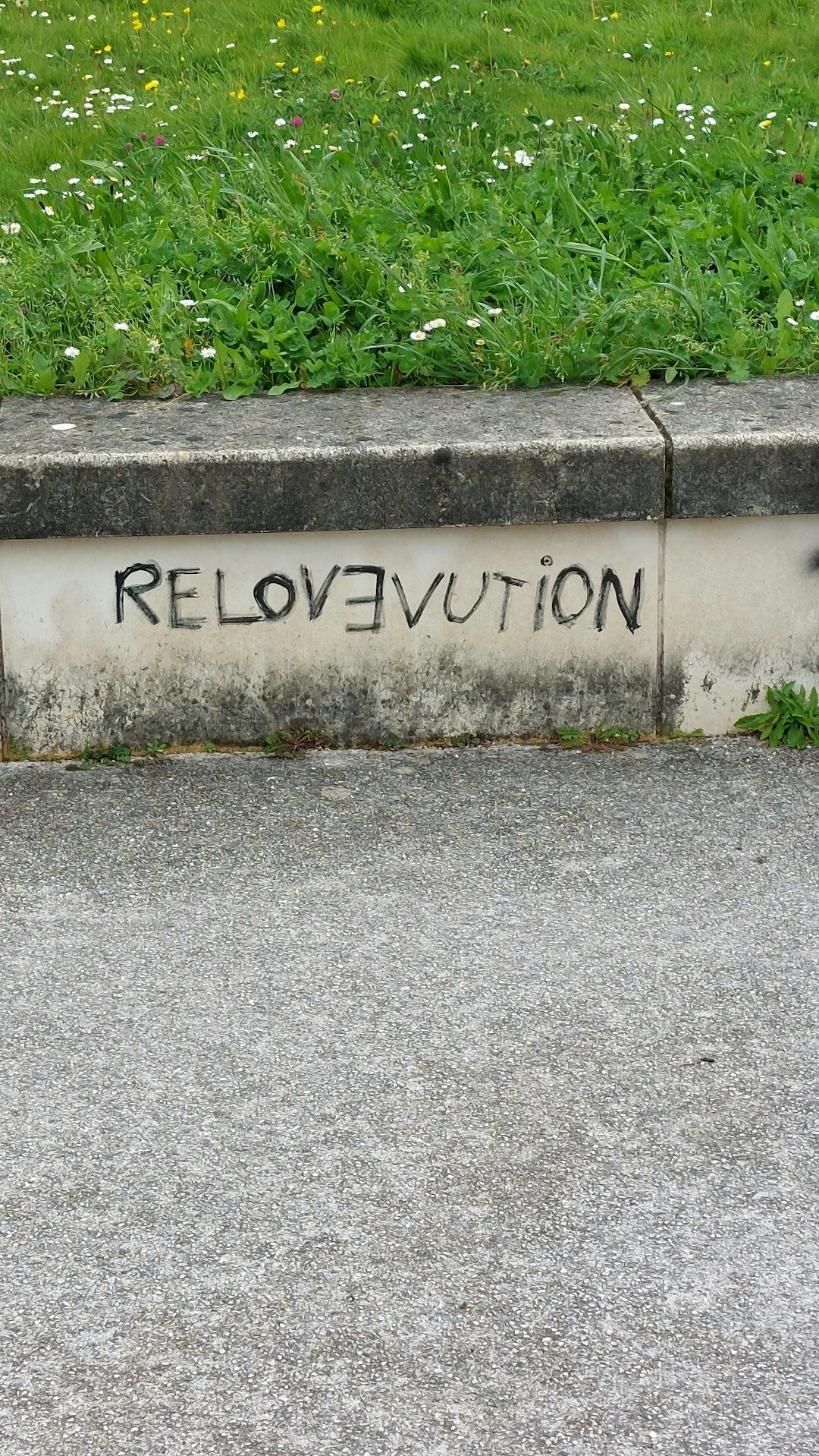 relocation success story
